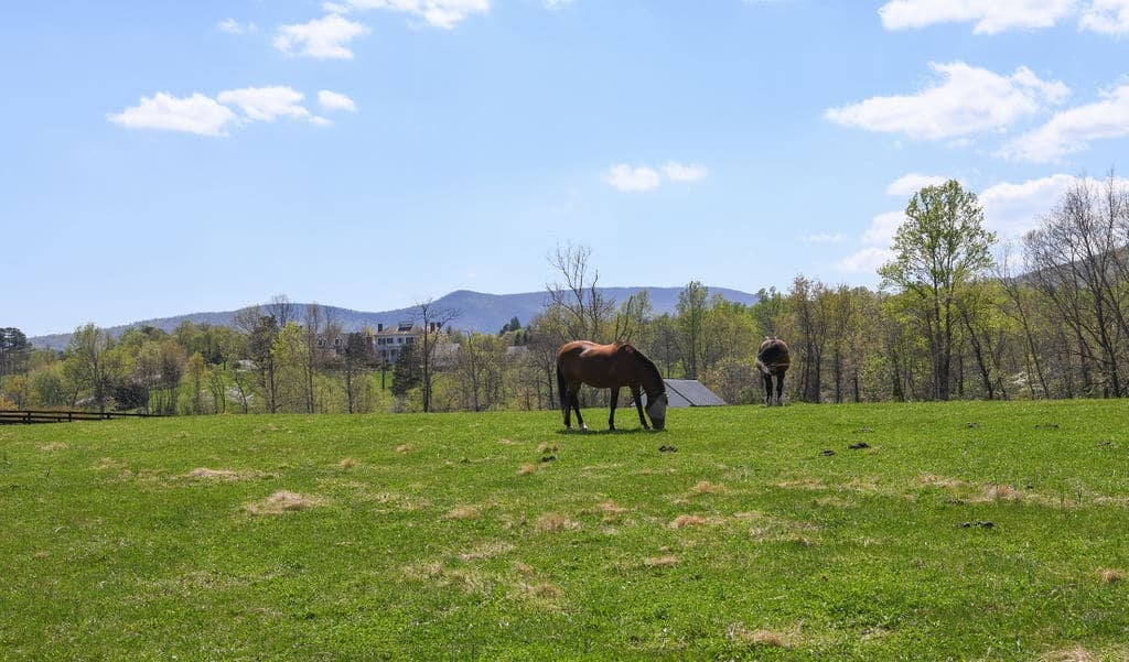 Mount Fair Equestrian Farm Vineyard Historic Garden Week