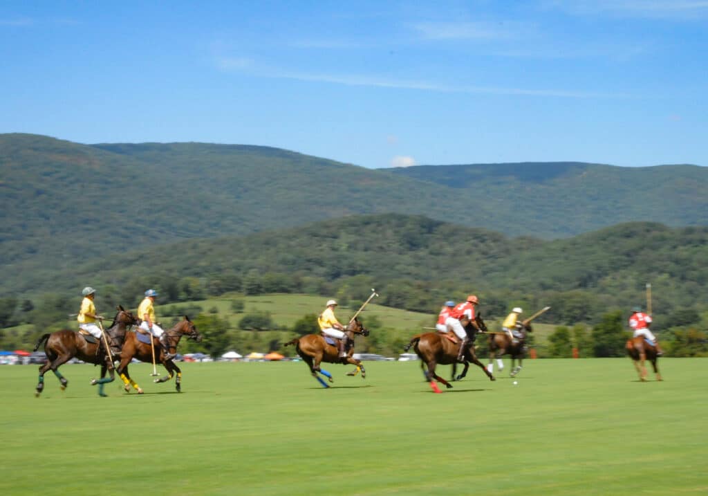 Polo rules and etiquette at king family vineyards, virginia