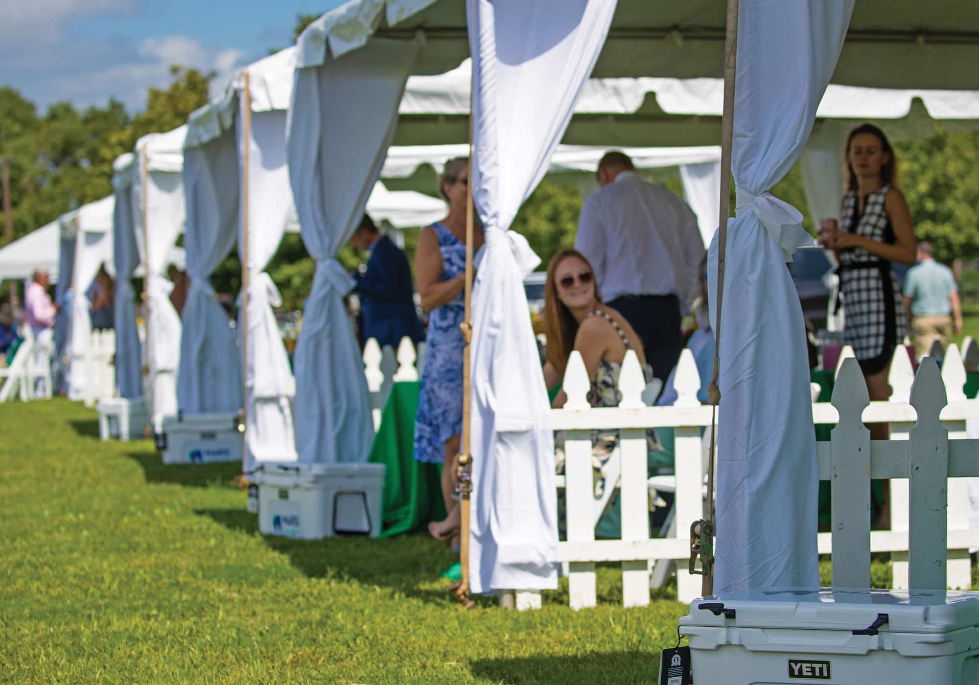 Polo at Great Meadow in The Plains, Virginia