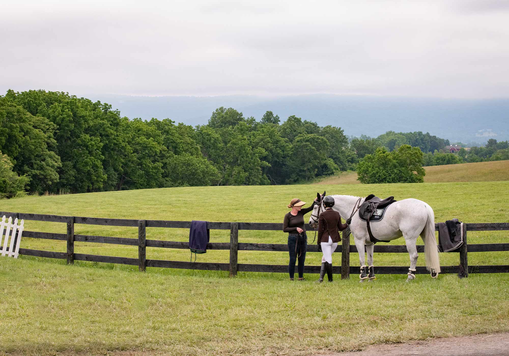 The Upperville Colt & Horse Show Wine and Country Life