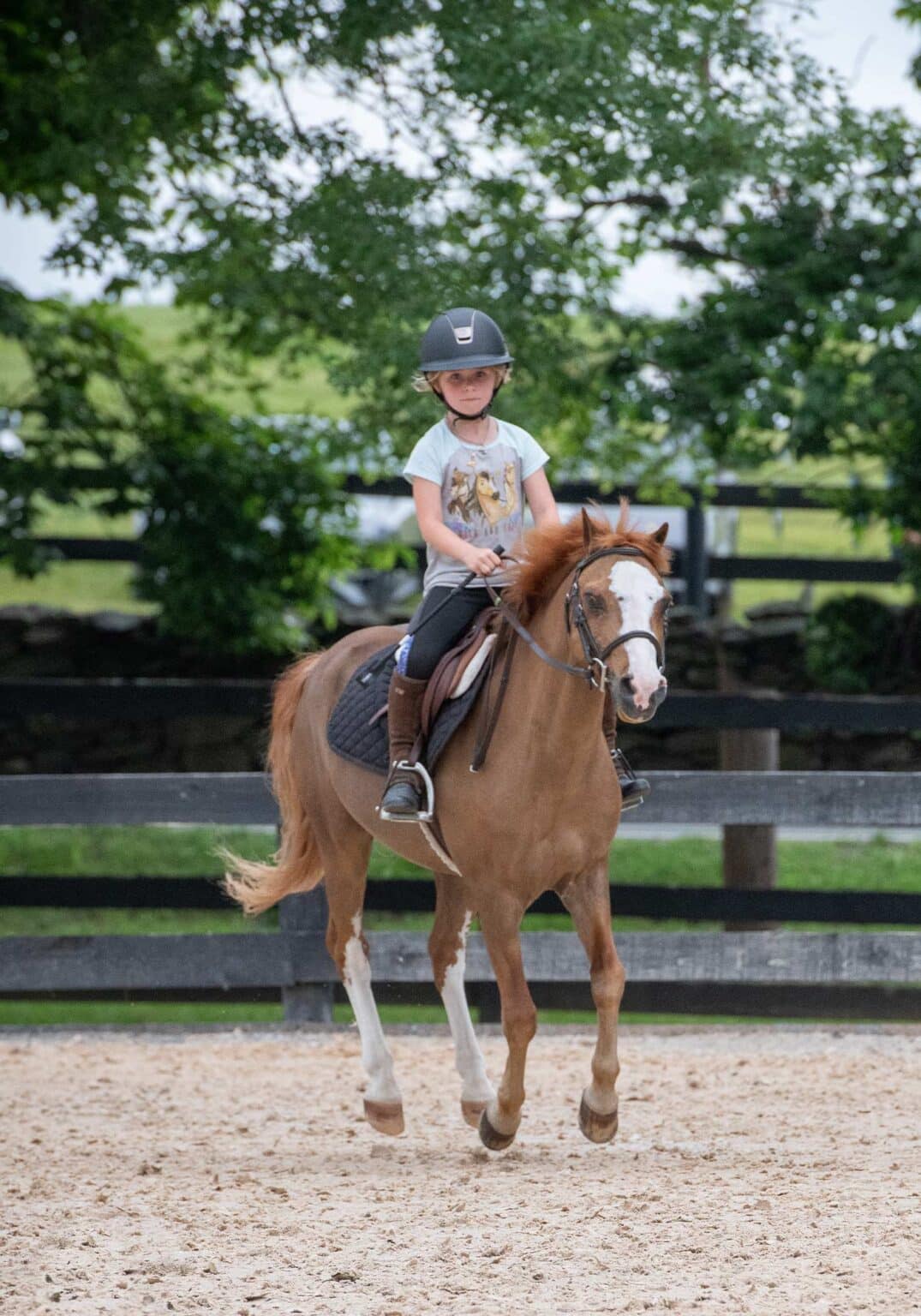 The Upperville Colt & Horse Show Wine and Country Life