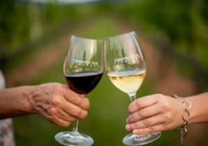 Photo of 2 wine glasses at Chestnut Oak Vineyards, Virginia