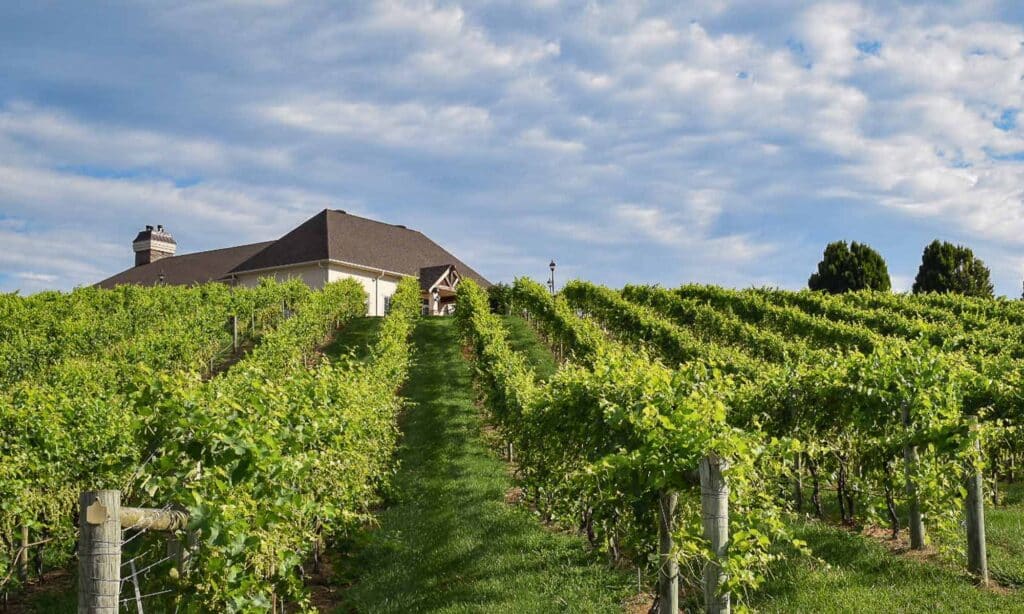 Shenandoah Valley Wineries Captivate Experts - Wine and Country Life