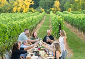 Photo of a gathering among the vineyards at Cana Vineyards