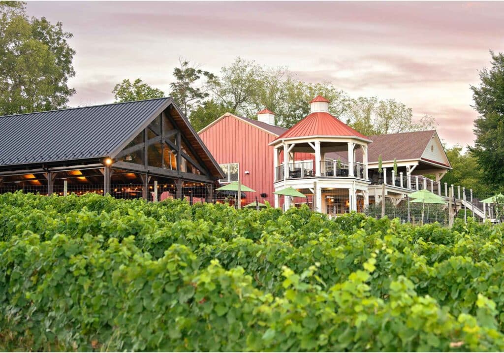 Photo of Cana Vineyards