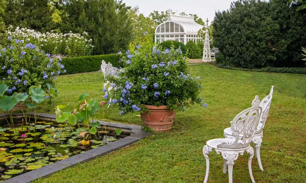 elizabeth locke lily pad garden chair