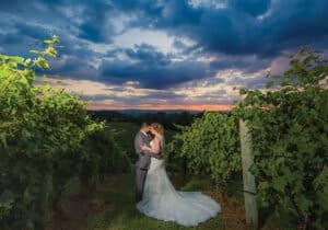 Photo of wedding couple among the vineyards at Bluestone