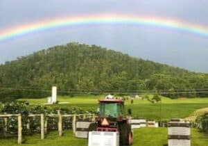 Photo of vineyard, tractor, and rainbow at Bluestone