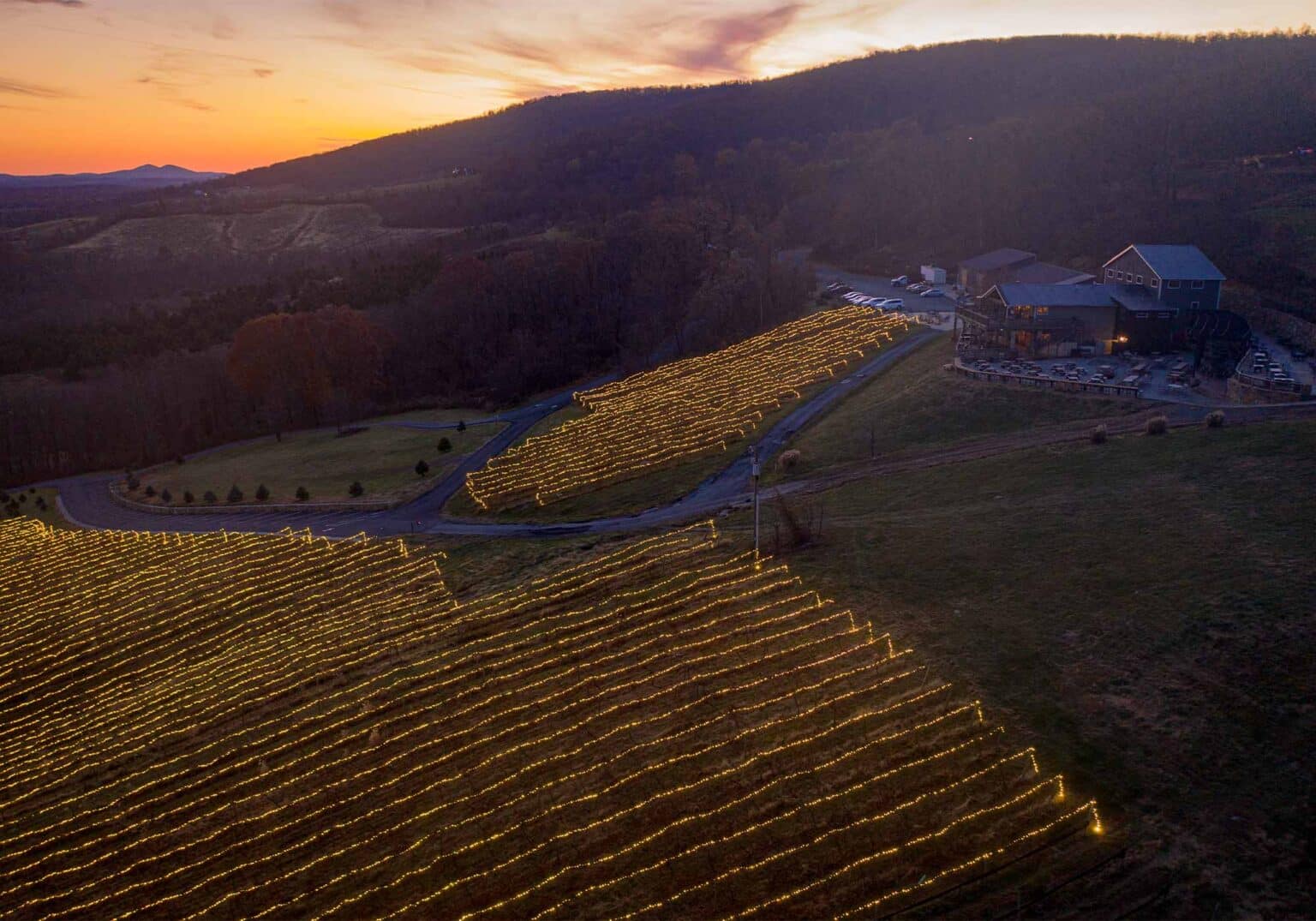 Holiday Events in Virginia Wine Country - Wine and Country Life