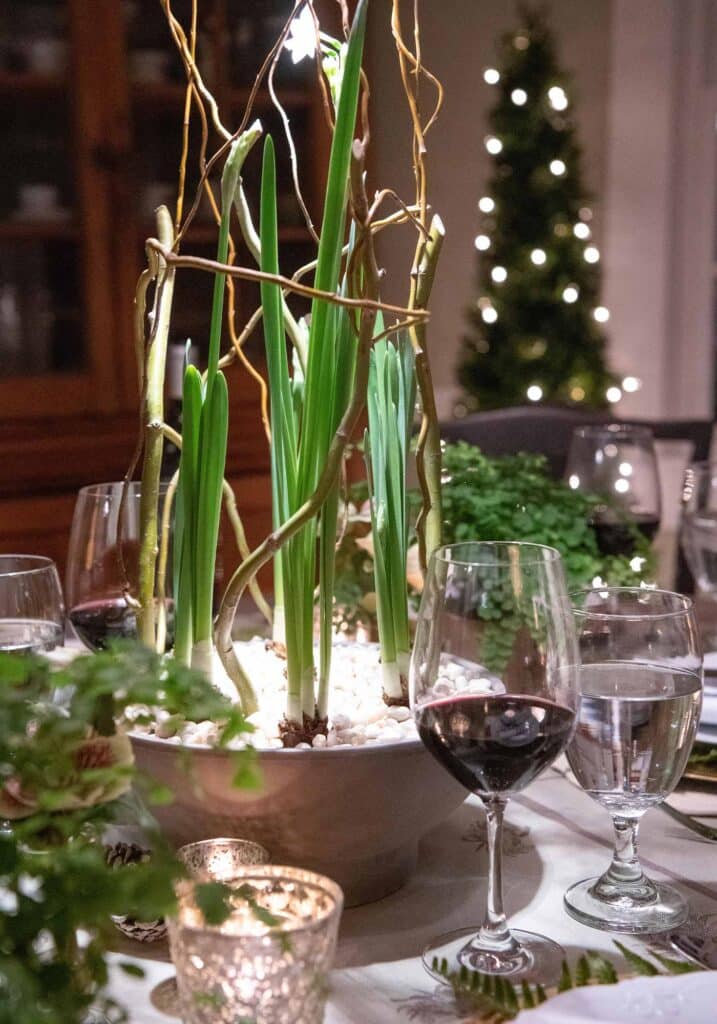 holiday vegan dinner fern wine