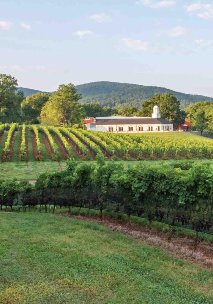 Virginia Wine Country's Barboursville Vineyard's tasting room and landscape.