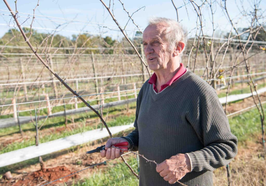 gabriele rausse in vineyard