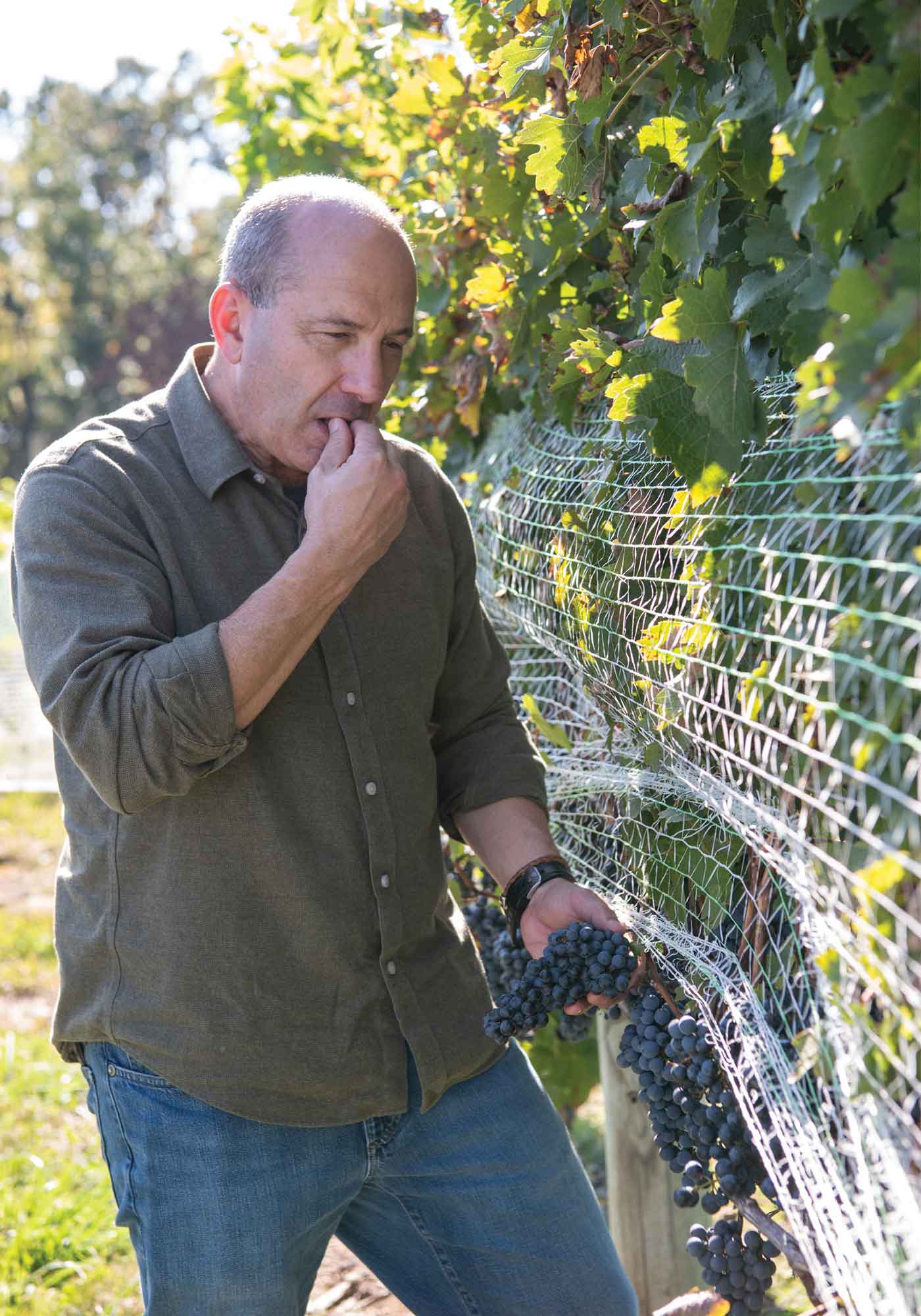 The Top Virginia Winemakers - Wine and Country Life