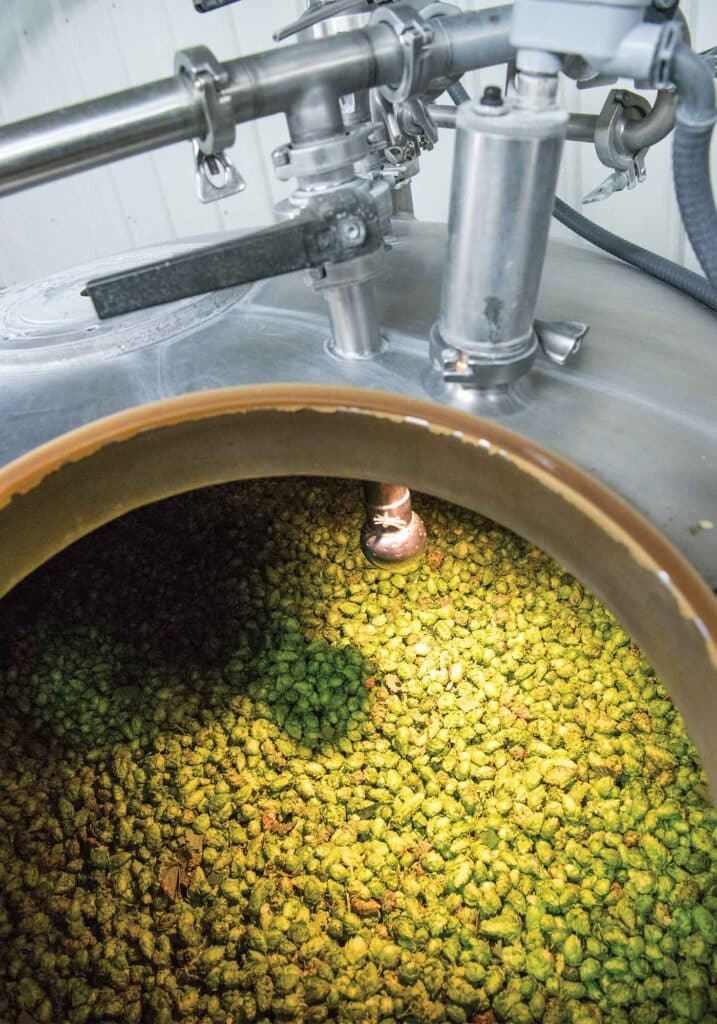 virginia beer growing hops brewer hop stan driver