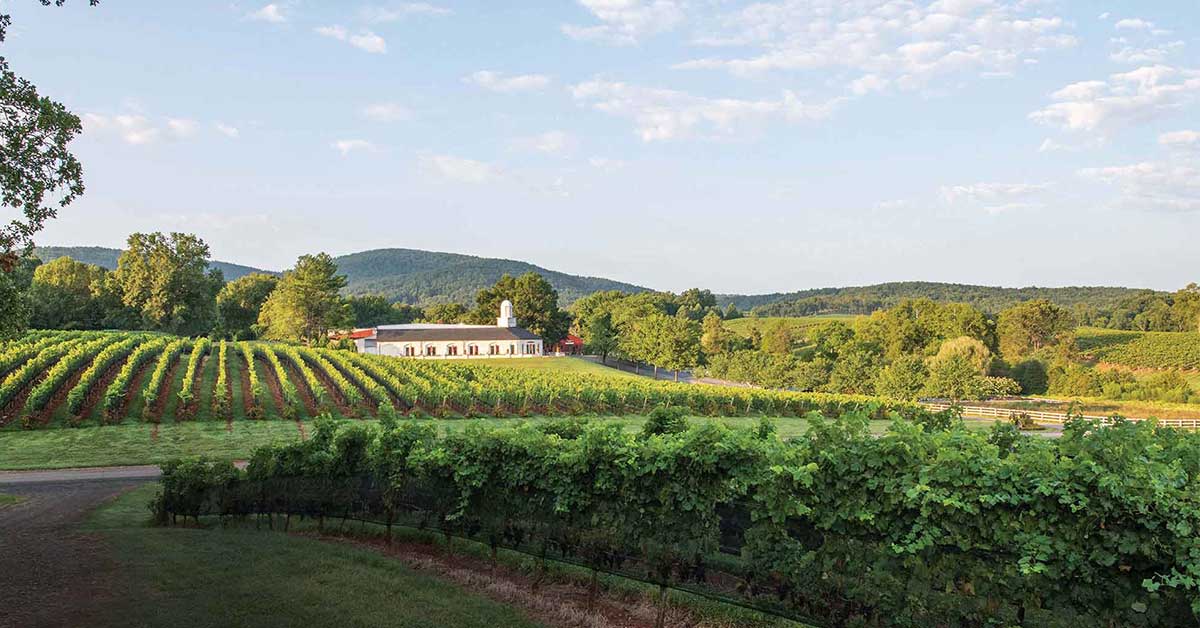 Barboursville Tasting room landscape vineyard