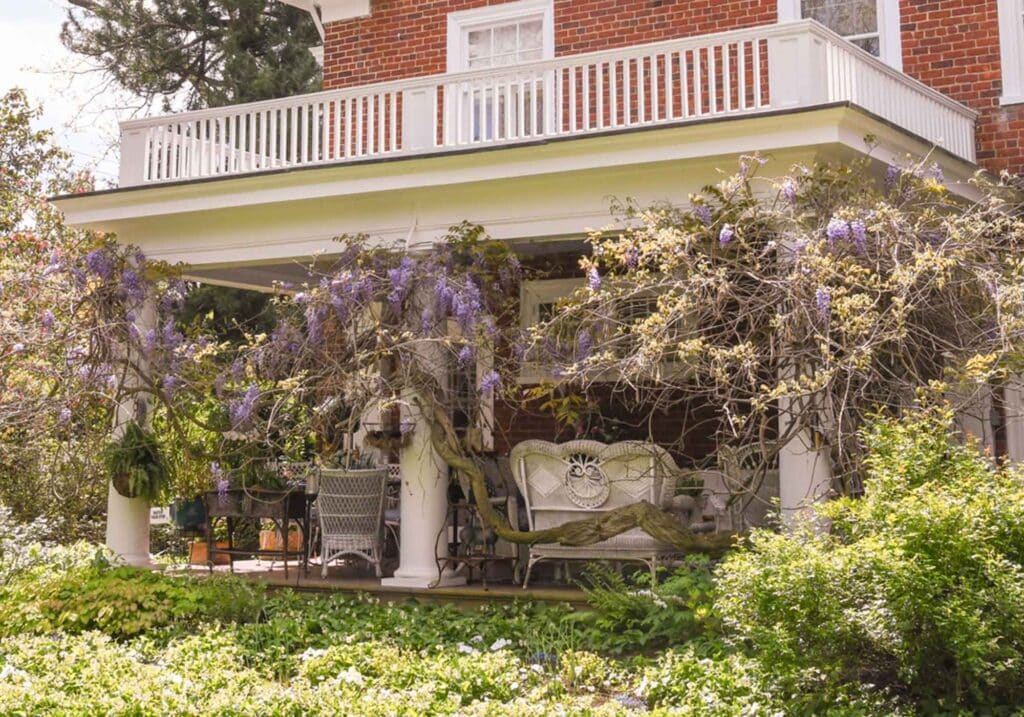 wisteria covered porch