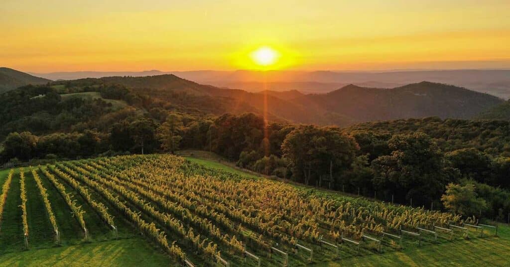 12 ridges vineyard sunset wine hikes