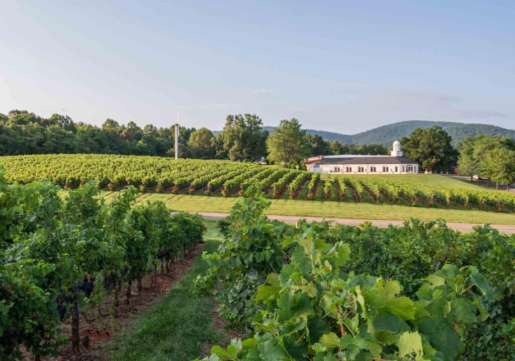 View of the Barboursville Vineyards tasting room and vines.