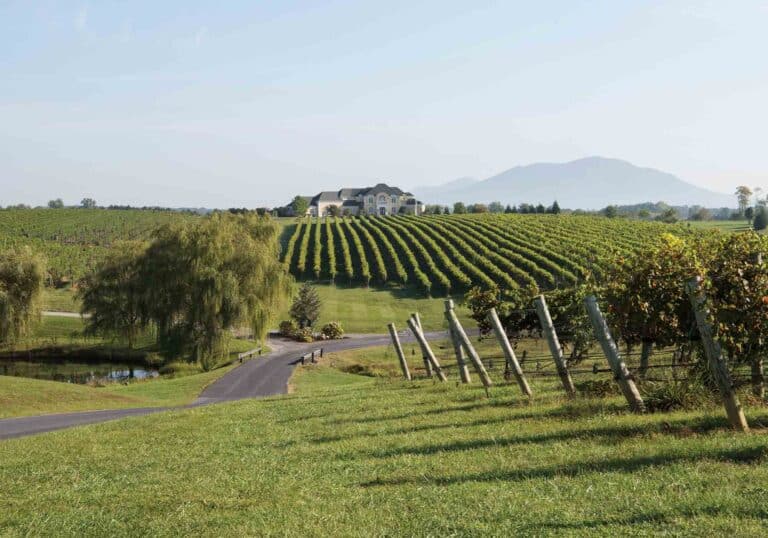 Top Wineries in the Shenandoah Valley - Wine and Country Life