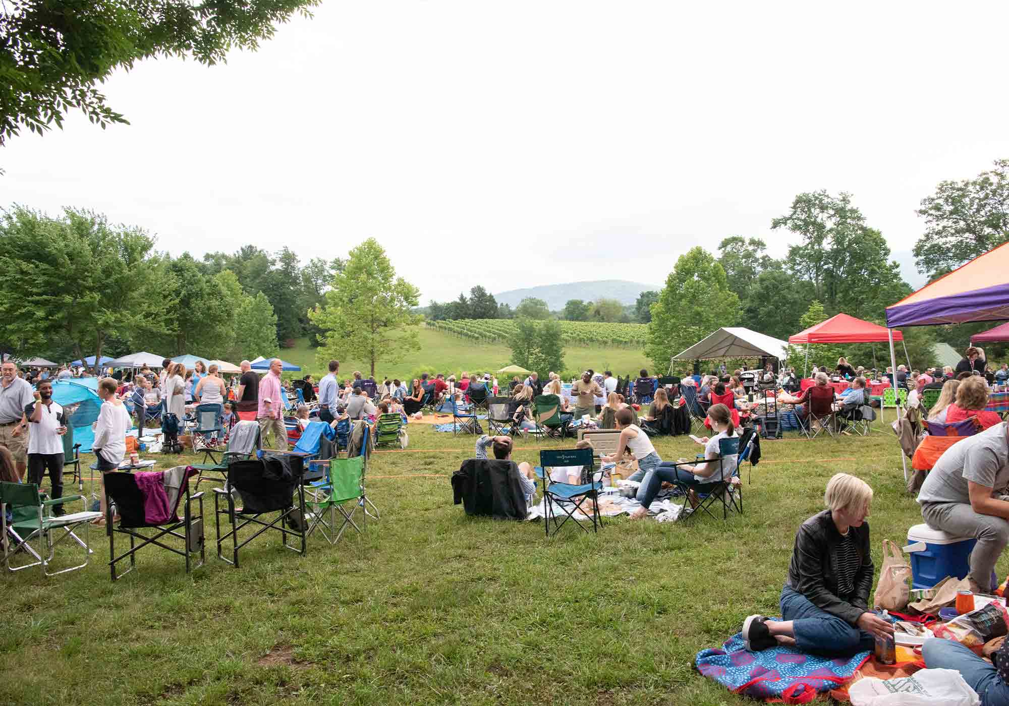 Starry Nights Winery Concert at Veritas Wine and Country Life