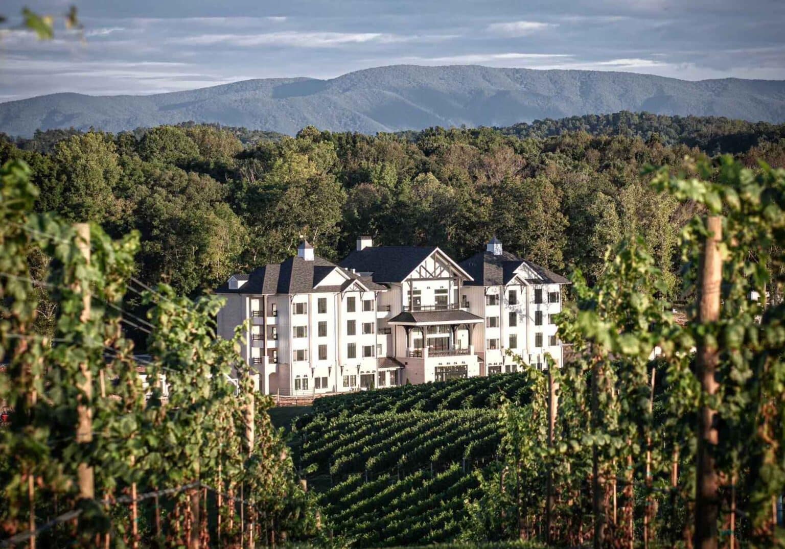 Discover Your Favorite New Virginia Winery - Wine and Country Life