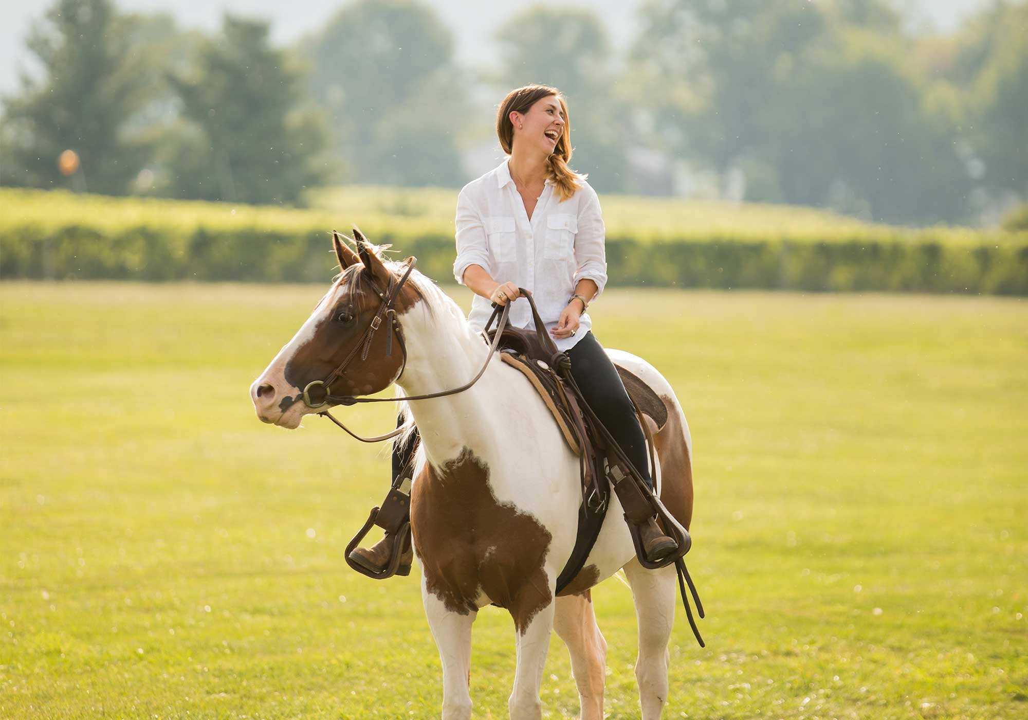 Vineyard Horse Tours Wine and Country Life