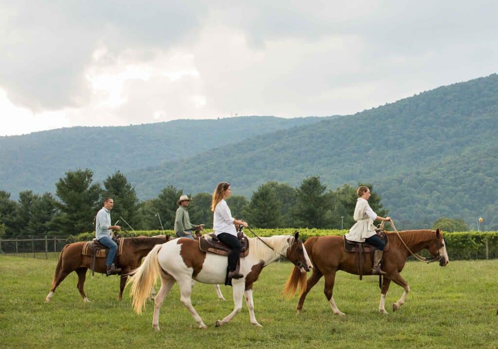 vineyard horse tours