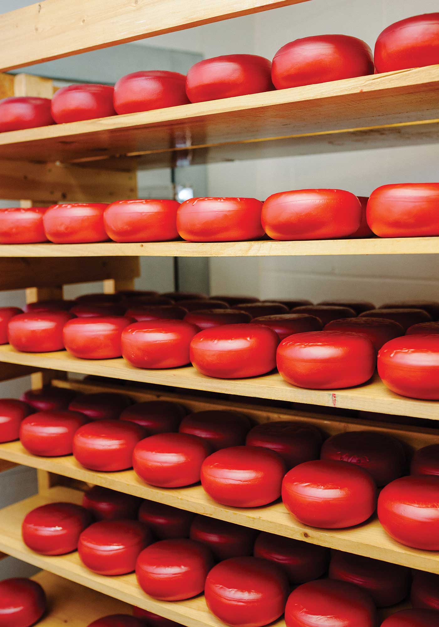 The Cheese Nuns Wine and Country Life