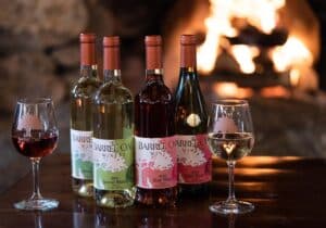 Photo of Barrel Oak Winery variety of wines and two wine glasses in front of a fireplace