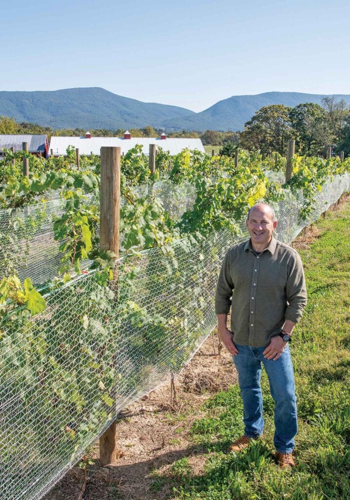 Michael Shaps at Shenandoah Winery in the vineyard where grapevines are netted to protect the fruit.