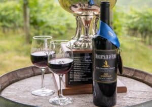 Photo of Mountain & Vine's 2021 Meritage wine with a blue ribbon, trophy and 2 glasses.