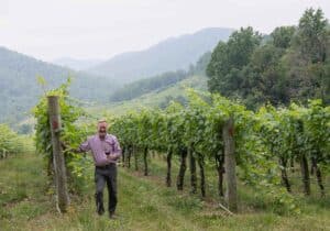 Photo of winemaker among the vineyards at Mountain and Vine in Virginia