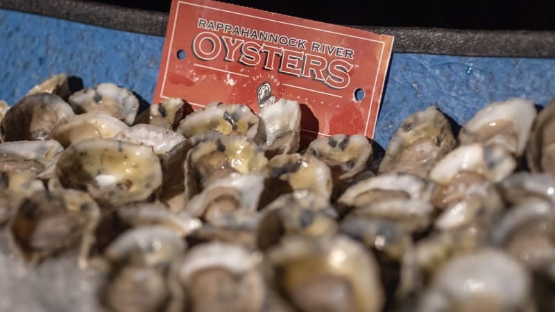 oyster eat