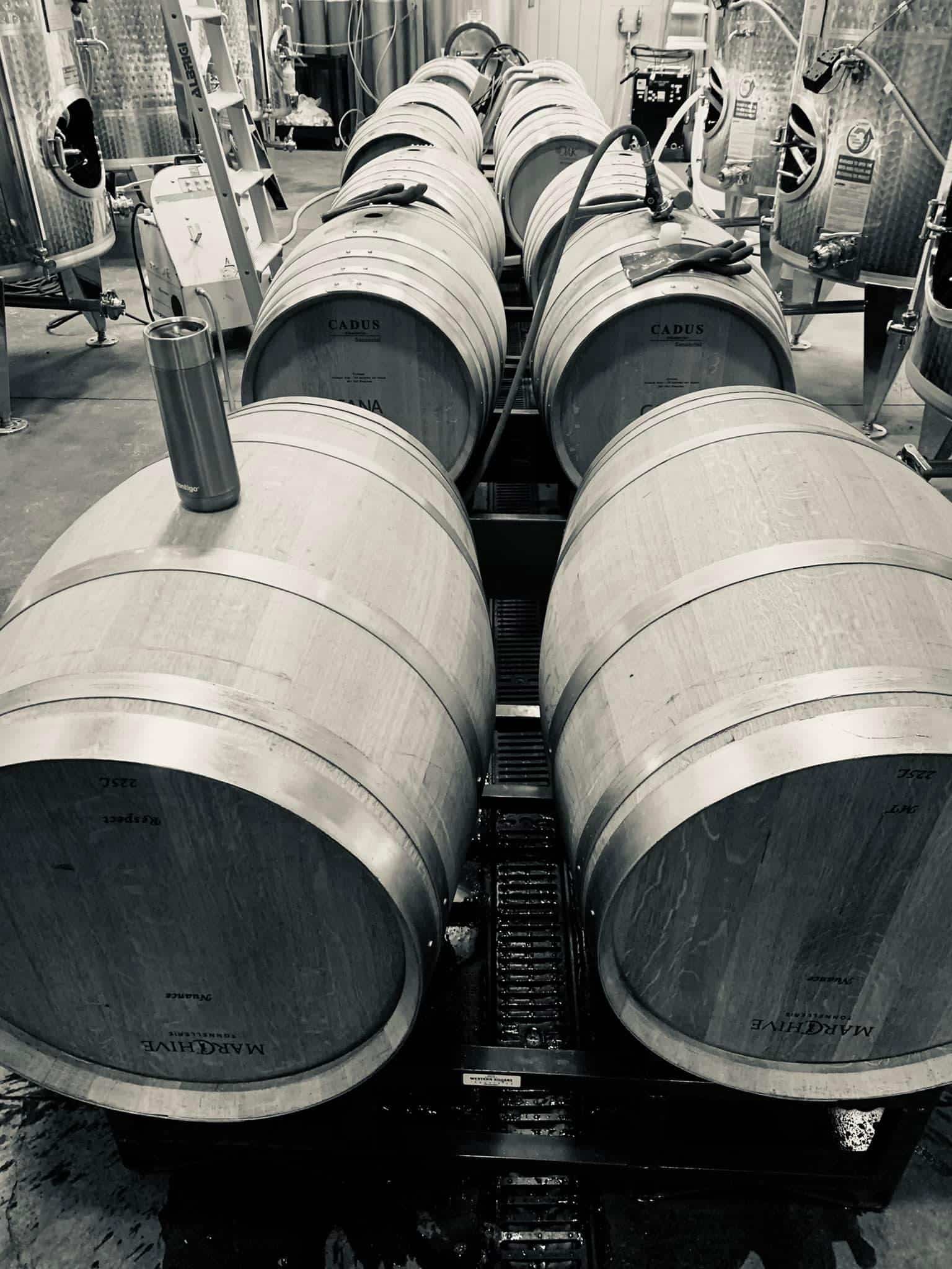 Mono color photo of wine barrels at Cana Vineyards