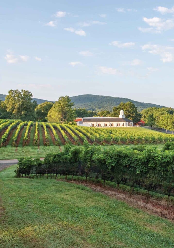 Barboursville Vineyards