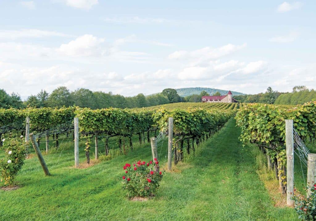 Horton Vineyards with building in the background