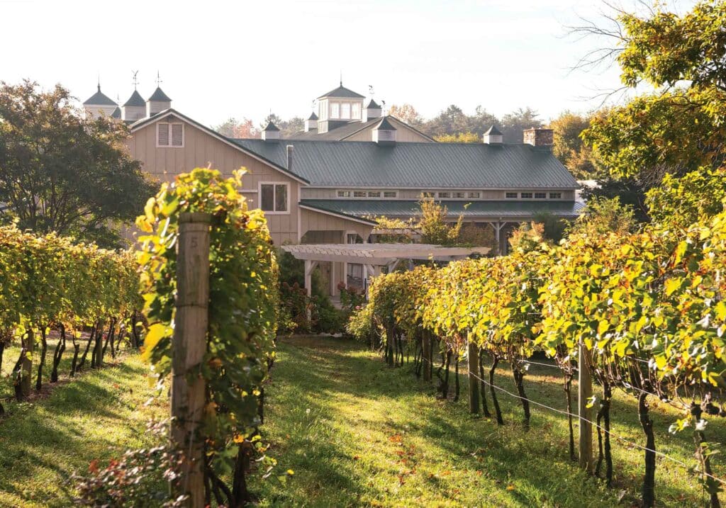 Tasting room building at Veritas Winery