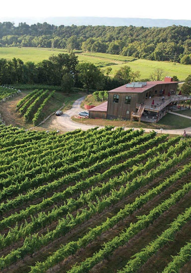 Top Wineries in the Shenandoah Valley - Wine and Country Life