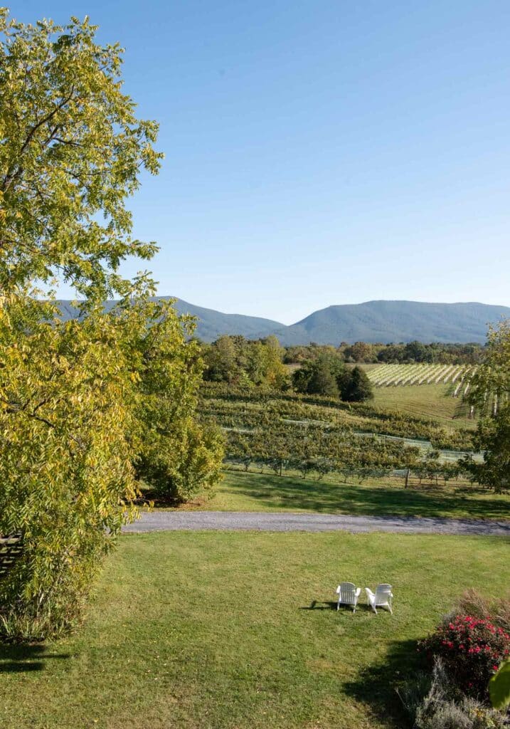 Top Wineries in the Shenandoah Valley - Wine and Country Life