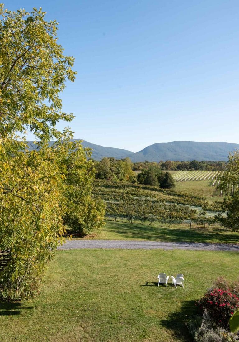 Top Wineries in the Shenandoah Valley - Wine and Country Life