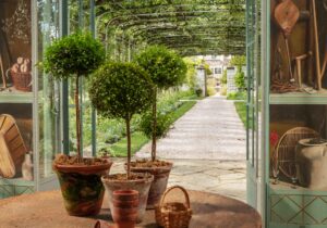 photo of plants at oak spring garden foundation