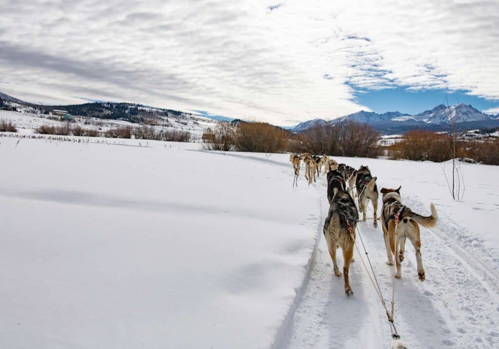 Team of huskies pulling a sleigh through snow-covered Vail Valley with mountains in the background.