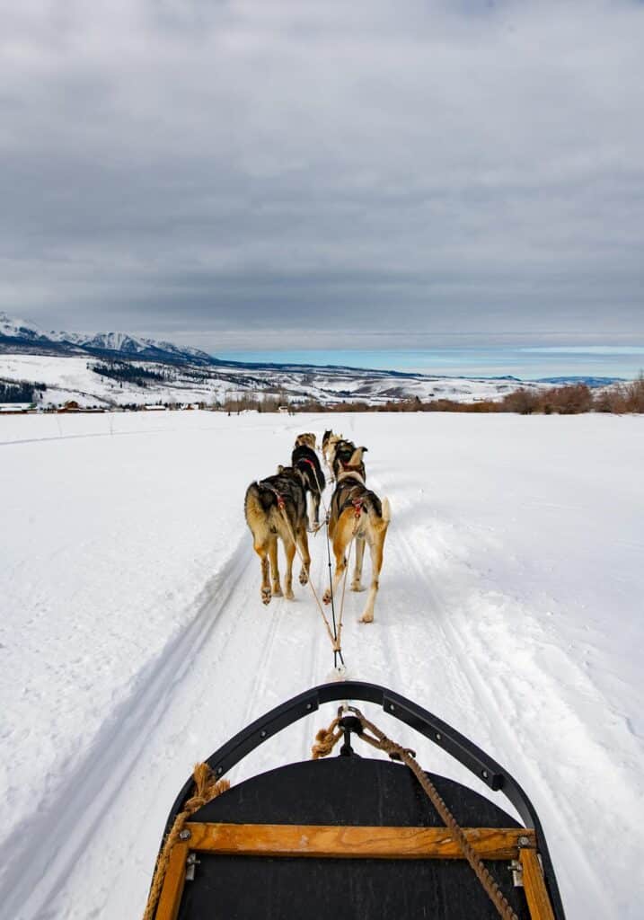 A sled pulled by Alaskan huskies through the snow near Vail, Colorado, enjoying a winter adventure.