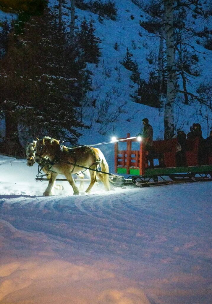 Guests riding a horse-drawn sleigh through the snow in Colorado’s Rocky Mountains near Vail.