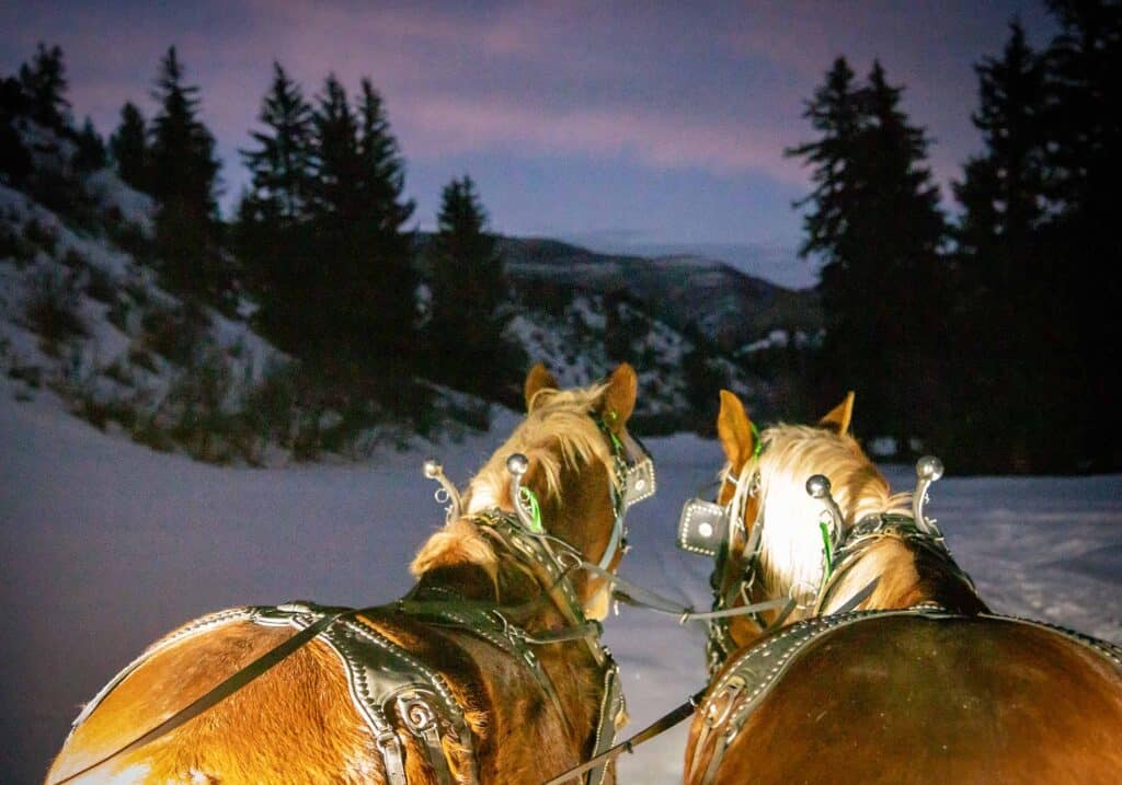 Winter sleigh ride at Bearcat Stables near Vail, with passengers enjoying hot cocoa and snowy scenery.