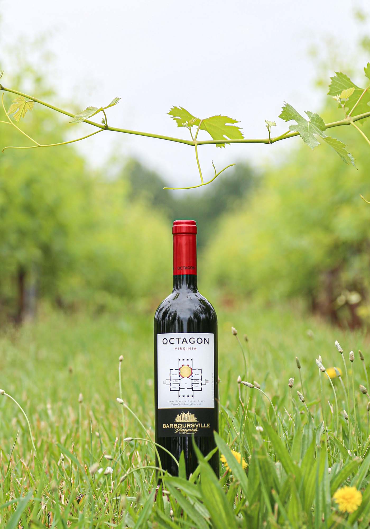 2017 Barboursville Vineyards Octagon red wine from Virginia wine country