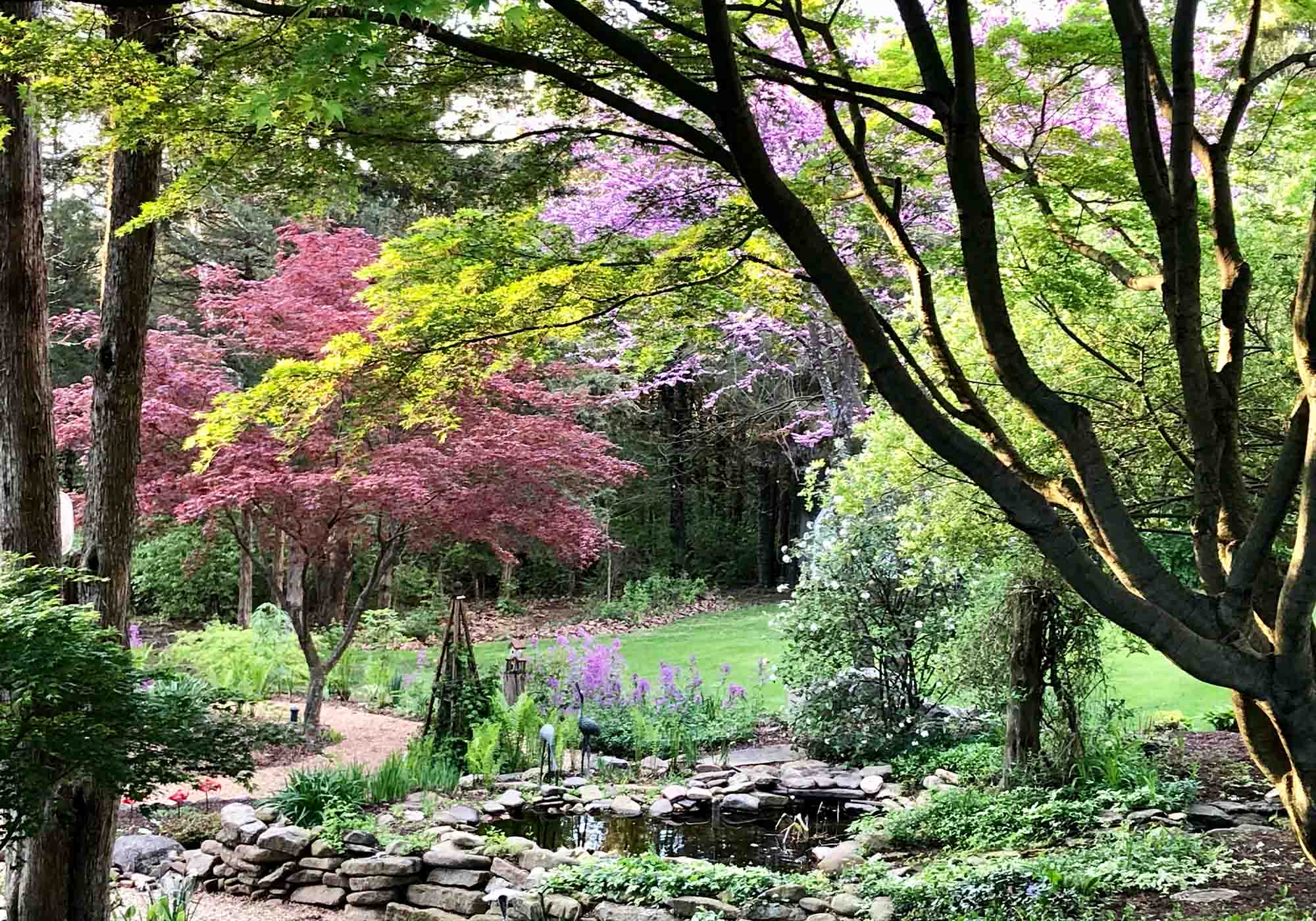 Ethereal woodland garden in Harrisonburg, Virginia with mature trees and a serene rock pond, part of Historic Garden Week 2026